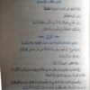 التذهيب في شرح التهذيب (تهذيب المنطق) - Image 2