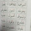 قاعده بغدادی3 - Image 5