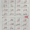 قاعده بغدادی3 - Image 3